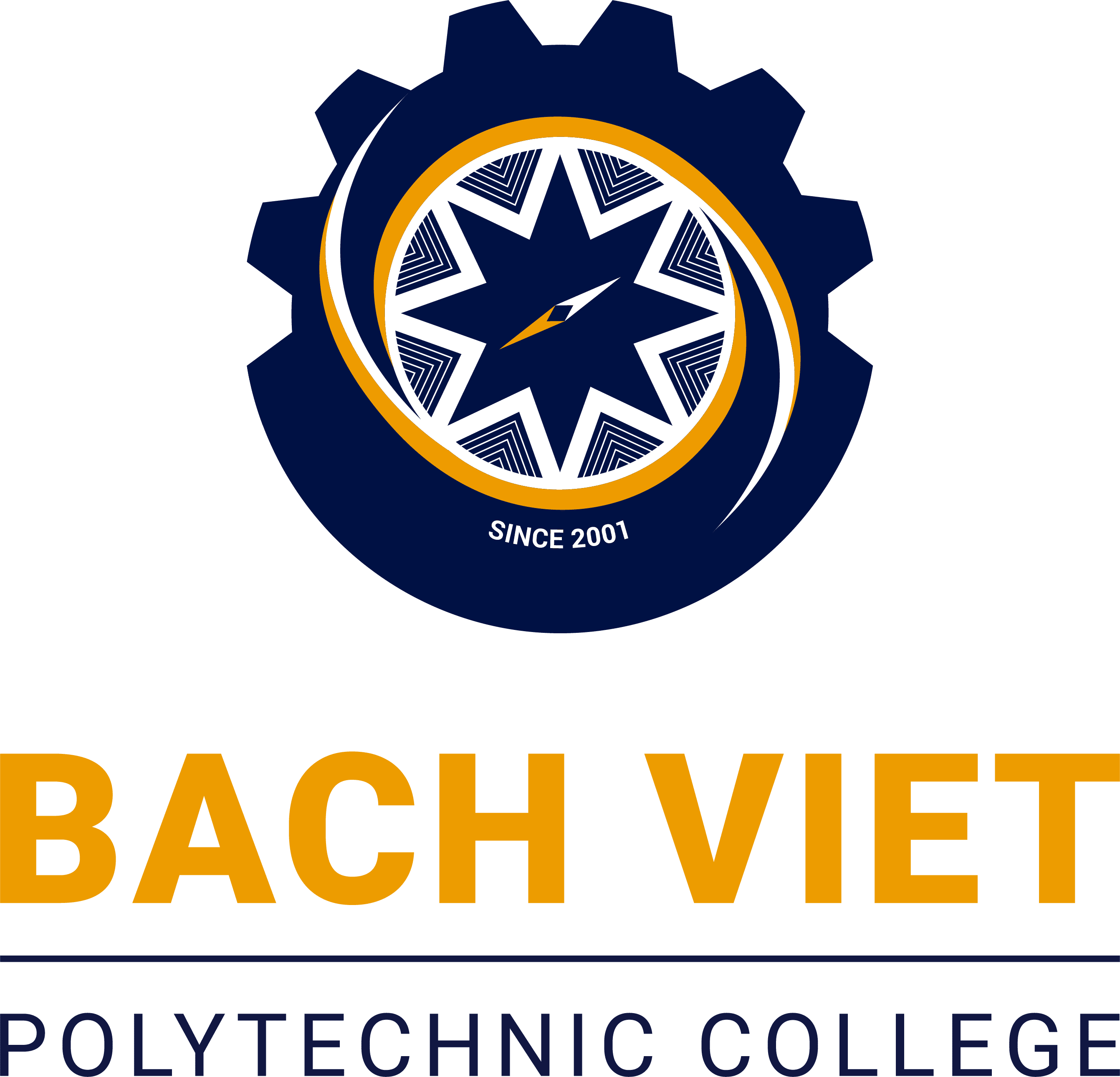 bach-viet-LOGO-footer